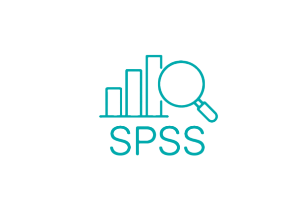 Advanced SPSS Services 